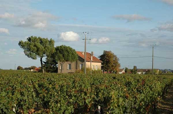 法國波爾多葡萄酒莊園